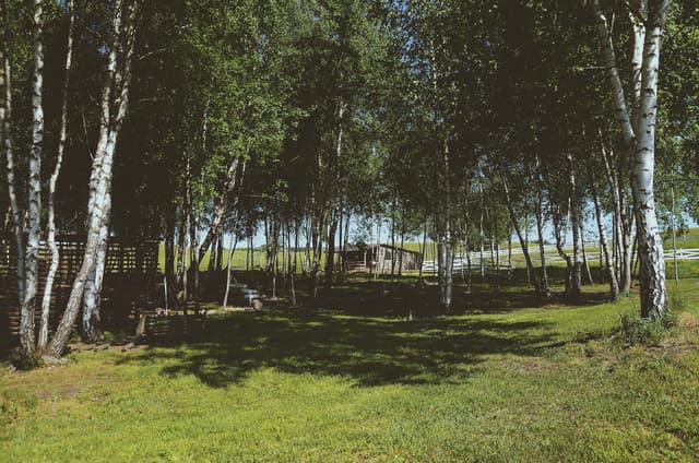 Sodyba „Meda house“