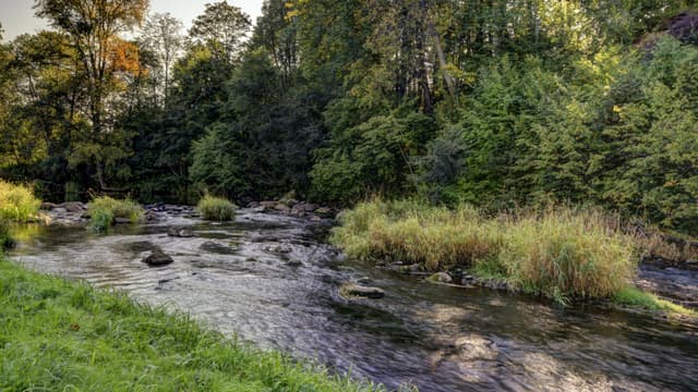 Sodyba „Žemsuodos kaimelis“